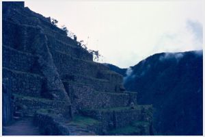 8_Machu Picchu (31).jpg